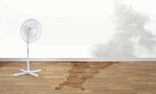 Best Water damage cleanup near me  in Glendora, CA