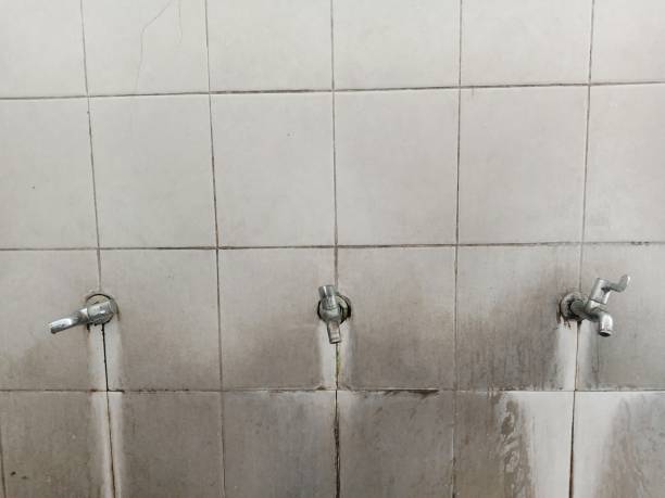 Best Flood damage cleanup  in Glendora, CA