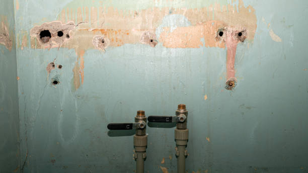 Best 24-hour water damage restoration  in Glendora, CA